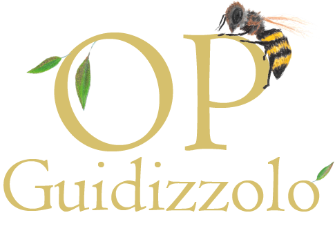 OP-Guidizzolo